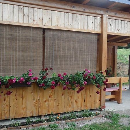 Apartment Rendulic Rakovica Dış mekan fotoğraf