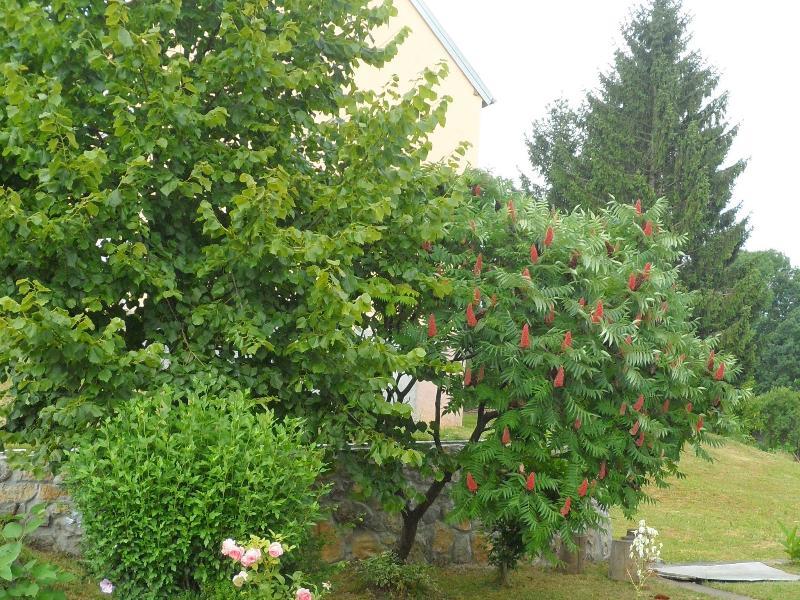 Apartment Rendulic Rakovica Dış mekan fotoğraf